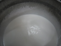 Konjacmehl - Wasser - Mixtur